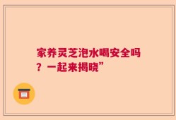 家养灵芝泡水喝安全吗？一起来揭晓”