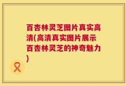 百杏林灵芝图片真实高清(高清真实图片展示百杏林灵芝的神奇魅力)