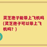 灵芝孢子能带上飞机吗(灵芝孢子可以带上飞机吗？)