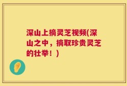 深山上摘灵芝视频(深山之中，摘取珍贵灵芝的壮举！)
