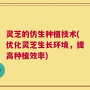 灵芝的仿生种植技术(优化灵芝生长环境，提高种植效率)