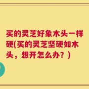 买的灵芝好象木头一样硬(买的灵芝坚硬如木头，想开怎么办？)