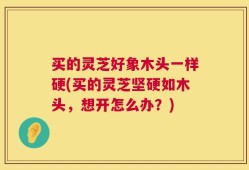 买的灵芝好象木头一样硬(买的灵芝坚硬如木头，想开怎么办？)