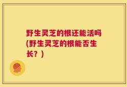 野生灵芝的根还能活吗(野生灵芝的根能否生长？)