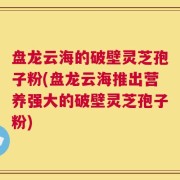 盘龙云海的破壁灵芝孢子粉(盘龙云海推出营养强大的破壁灵芝孢子粉)