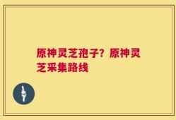 原神灵芝孢子？原神灵芝采集路线