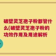 破壁灵芝孢子粉都管什么(破壁灵芝孢子粉的功效作用及用途解析