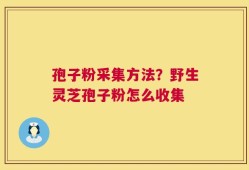 孢子粉采集方法？野生灵芝孢子粉怎么收集