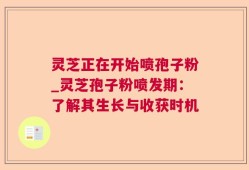 灵芝正在开始喷孢子粉_灵芝孢子粉喷发期：了解其生长与收获时机