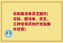 石斛西洋参灵芝图片(石斛、西洋参、灵芝，三种宝贵药材疗效及图片欣赏)