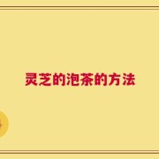 灵芝的泡茶的方法