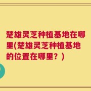 楚雄灵芝种植基地在哪里(楚雄灵芝种植基地的位置在哪里？)
