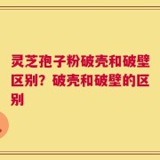 灵芝孢子粉破壳和破壁区别？破壳和破壁的区别