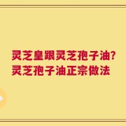 灵芝皇跟灵芝孢子油？灵芝孢子油正宗做法