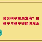 灵芝孢子粉洗发液？去虱子与虱子卵的洗发水