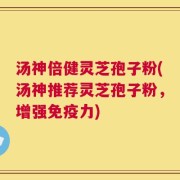 汤神倍健灵芝孢子粉(汤神推荐灵芝孢子粉，增强免疫力)