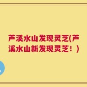 芦溪水山发现灵芝(芦溪水山新发现灵芝！)