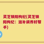 灵芝锁阳枸杞(灵芝锁阳枸杞：滋补调养好帮手)