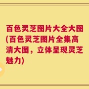 百色灵芝图片大全大图(百色灵芝图片全集高清大图，立体呈现灵芝魅力)
