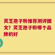 灵芝孢子粉推荐测评图文？灵芝孢子粉哪个品牌的好