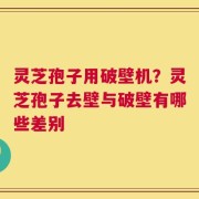 灵芝孢子用破壁机？灵芝孢子去壁与破壁有哪些差别