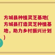 方城县种植灵芝基地(方城县打造灵芝种植基地，助力乡村振兴计划)