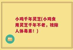 小鸡千年灵芝(小鸡食用灵芝千年不老，祛除人体毒素！)