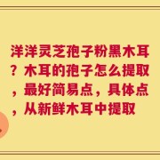 洋洋灵芝孢子粉黑木耳？木耳的孢子怎么提取，最好简易点，具体点，从新鲜木耳中提取