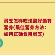 灵芝怎样吃法最好最有营养(最佳营养方法：如何正确食用灵芝)