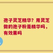孢子灵芝精华？用灵芝做的孢子粉是精华吗，有效果吗