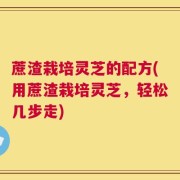 蔗渣栽培灵芝的配方(用蔗渣栽培灵芝，轻松几步走)