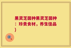 黑灵芝茵种黑灵芝茵种：珍贵食材，养生佳品)