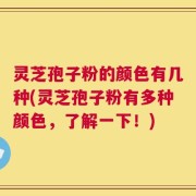 灵芝孢子粉的颜色有几种(灵芝孢子粉有多种颜色，了解一下！)