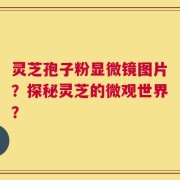 灵芝孢子粉显微镜图片？探秘灵芝的微观世界？