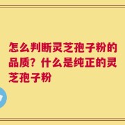 怎么判断灵芝孢子粉的品质？什么是纯正的灵芝孢子粉