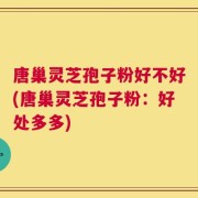 唐巢灵芝孢子粉好不好(唐巢灵芝孢子粉：好处多多)