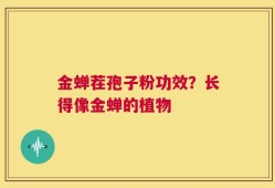金蝉茬孢子粉功效？长得像金蝉的植物