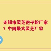 无锡市灵芝孢子粉厂家？中国最大灵芝厂家