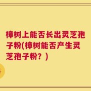 樟树上能否长出灵芝孢子粉(樟树能否产生灵芝孢子粉？)