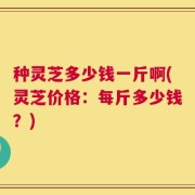 种灵芝多少钱一斤啊(灵芝价格：每斤多少钱？)