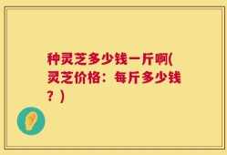 种灵芝多少钱一斤啊(灵芝价格：每斤多少钱？)