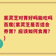紫灵芝对胃好吗能吃吗百度(紫灵芝是否适合养胃？应该如何食用？)