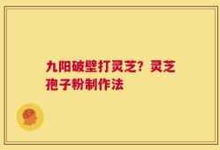 九阳破壁打灵芝？灵芝孢子粉制作法