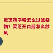 灵芝孢子粉怎么过滤杂物？灵芝开口后怎么放风