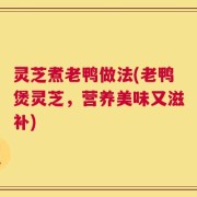 灵芝煮老鸭做法(老鸭煲灵芝，营养美味又滋补)