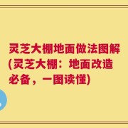 灵芝大棚地面做法图解(灵芝大棚：地面改造必备，一图读懂)