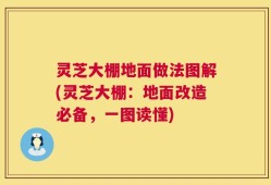 灵芝大棚地面做法图解(灵芝大棚：地面改造必备，一图读懂)