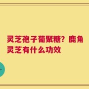 灵芝孢子葡聚糖？鹿角灵芝有什么功效