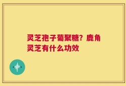 灵芝孢子葡聚糖？鹿角灵芝有什么功效