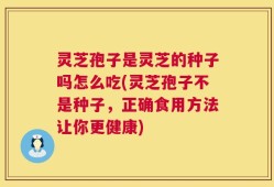 灵芝孢子是灵芝的种子吗怎么吃(灵芝孢子不是种子，正确食用方法让你更健康)